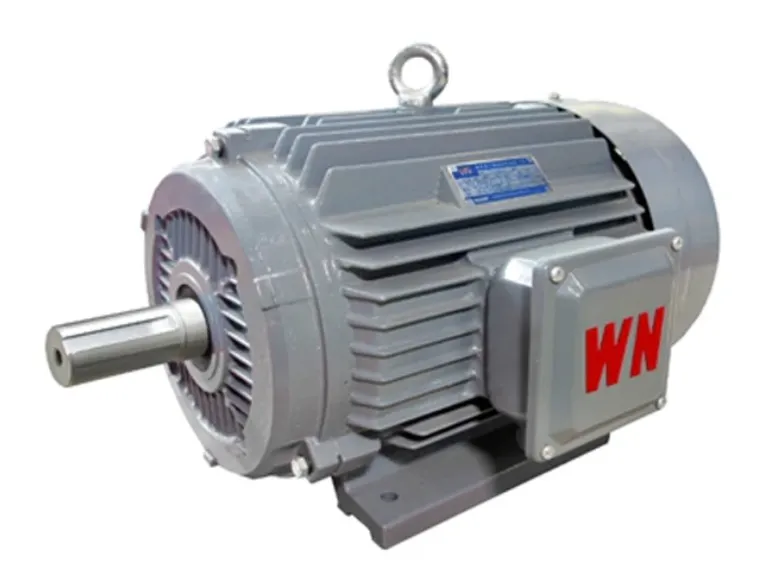 Choosing the Right Conveyor Motor is Critical