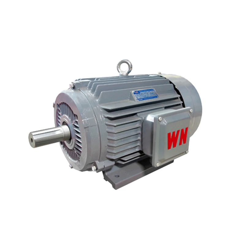 Belt Conveyor Drive Motor Reducer