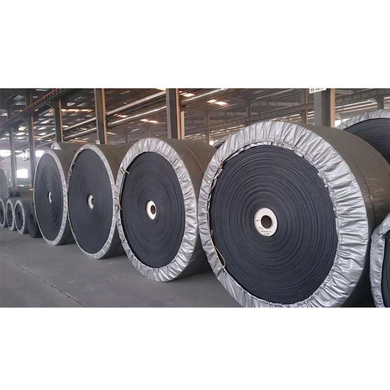 Strong Acid And Alkali Resistant Conveyor Belt